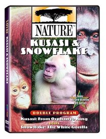 Nature: Kusasi & Snowflake