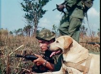 A Breed Apart: Combat Trackers & Their Dogs In The Vietnam War