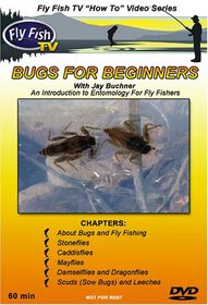 Bugs For Beginners
