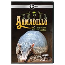 NATURE: Hotel Armadillo DVD