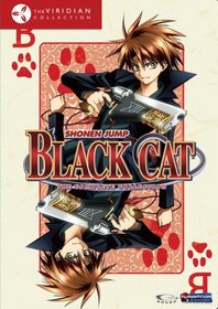 Black Cat Box Set (Viridian Collection)