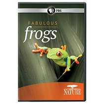 Nature: Fabulous Frogs