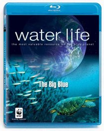 Water Life: The Big Blue [Blu-ray]