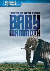 BABY MAMMOTH