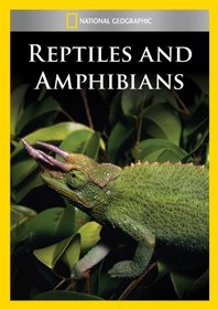 Reptiles and Amphibians