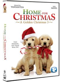 Home For Christmas: A Golden Christmas 3