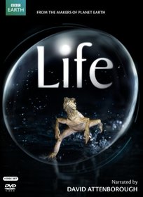 Life (narrated by David Attenborough)