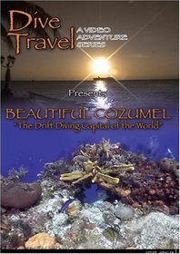 Dive Travel Beautiful Cozumel The Drift Diving Capital of the World