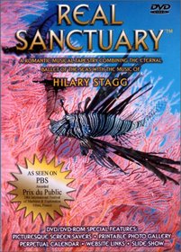 Hilary Stagg: Real Sanctuary