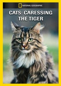 Cats: Caressing the Tiger