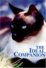 The Ideal Companion