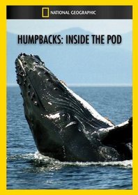 Humpbacks: Inside the Pod