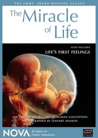 NOVA: The Miracle of Life/Life's First Feelings