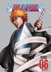 Bleach, Volume 6: The Entry (Episodes 21-24)