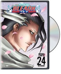 Bleach, Vol. 24