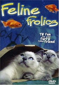 Feline Frolics