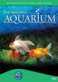 The Beautiful Aquarium