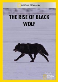 The Rise of Black Wolf