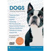 DOGS - Choosing, Caring & Training
