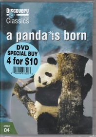 Discovery Classics A Panda Is Born