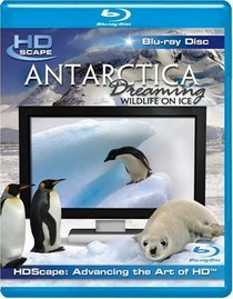 Antarctica Dreaming [Blu-ray]