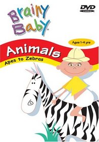 Brainy Baby - Animals