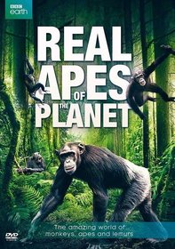 Real Apes of the Planet (DVD)