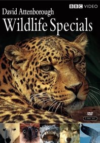 David Attenborough Wildlife Specials