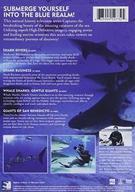 Shark Divers - 4-Part Documentary Series