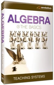 Teaching Systems Algebra Module 1: The Basics