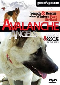 Avalanche Angels