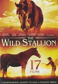 17-Film Family Featuring The Wild Stallion