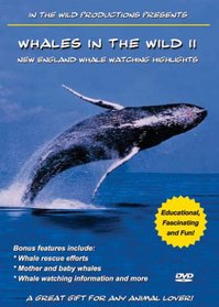 Whales in the Wild II: New England Whale Watching Highlights