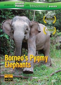 Borneo's Pygmy Elephants (As seen on Discover HD)