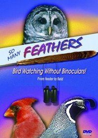 So Many Feathers: Bird Watching Without Binoculars