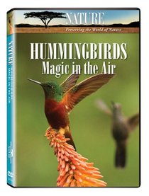 Nature: Hummingbirds