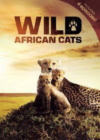 Wild African Cats