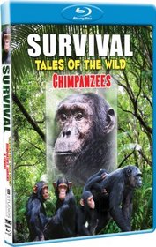 Survival: Tales of the Wild-Chimpanzees - Blu-ray!