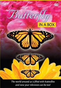 Butterfly in a Box