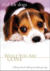 DVD For Dogs : While You Are Gone