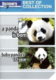 Discovery Channel - Best of Collection --  A Panda is Born / Baby Panda's 1st Year [DVD]