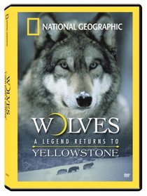 Wolves: A Legend Returns to Yellowstone