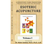 Esoteric Acupuncture Volume I