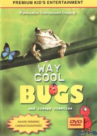 Way Cool Bugs
