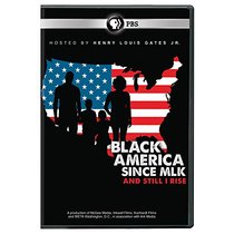 Black America Since MLK: And Still I Rise DVD