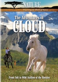 The Adventures of Cloud