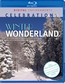 Winter Wonderland [Blu-ray]