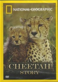 National Geographic : A Cheetah Story