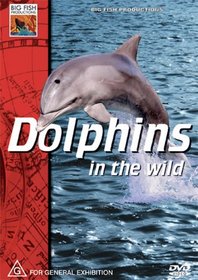 Dolphins in the Wild