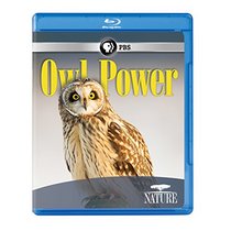 Nature: Owl Power [Blu-ray]